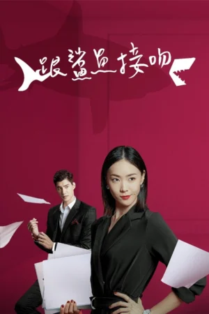 Người Phụ Nữ Tuyệt Vời